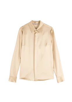 Champaign satin blouse