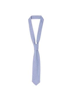 Double striped tie