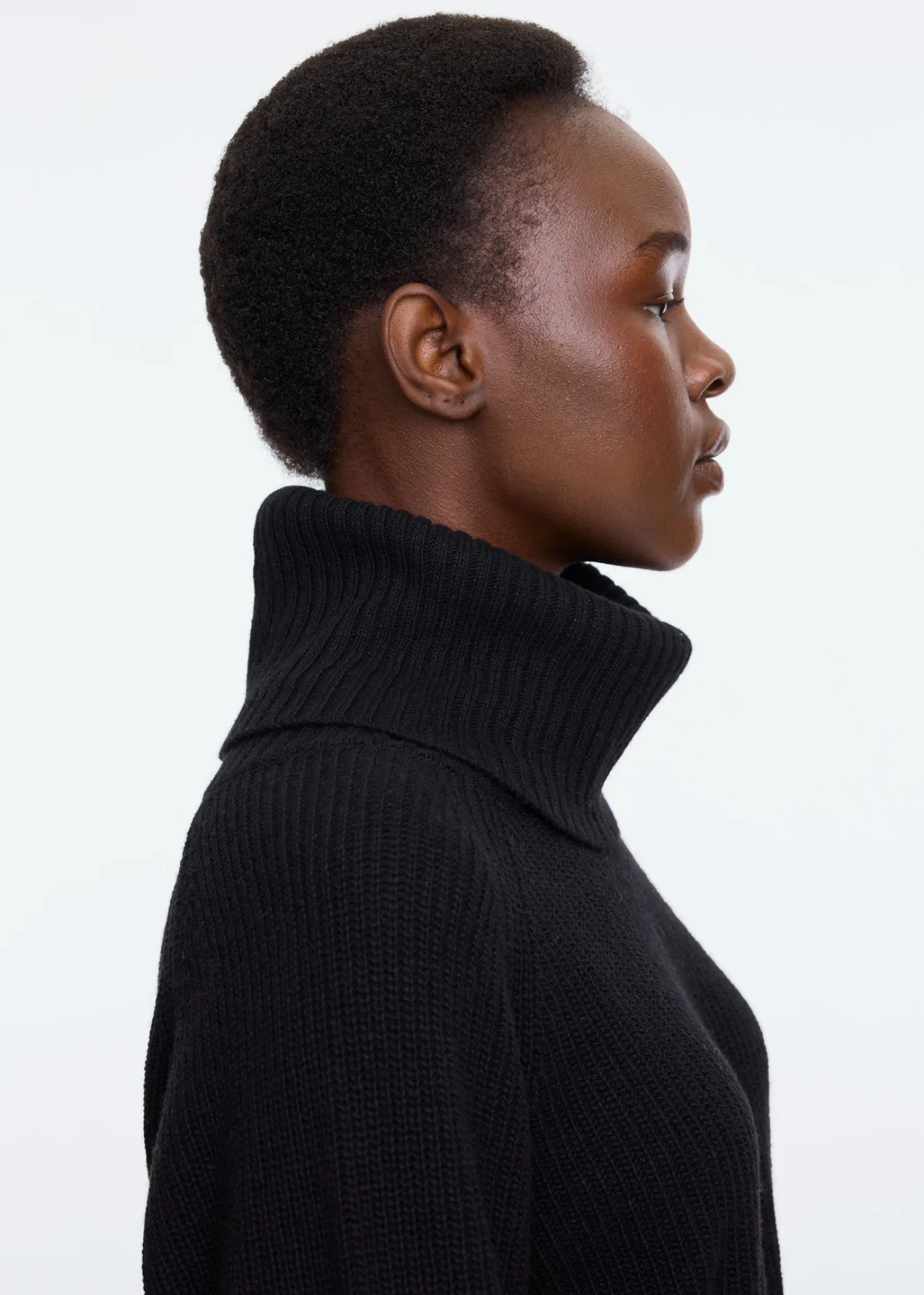 Turtle wool mix sweater